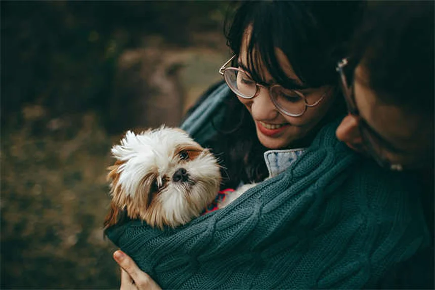 5 Métodos Naturais para Acalmar um Cão Nervoso em Casa